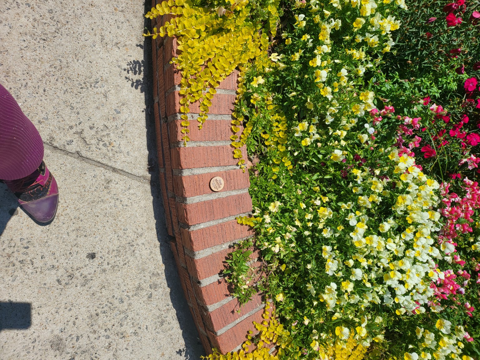 A heartwork token placed near flowers beside a public walkway