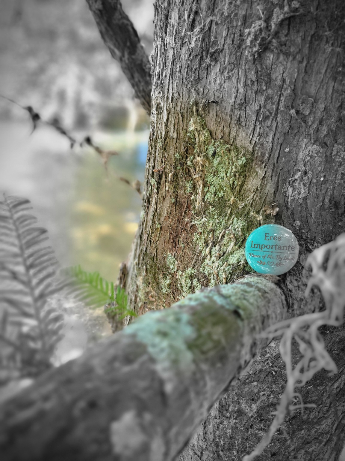A colorful heartwork token placed in the roots of a tree beside water