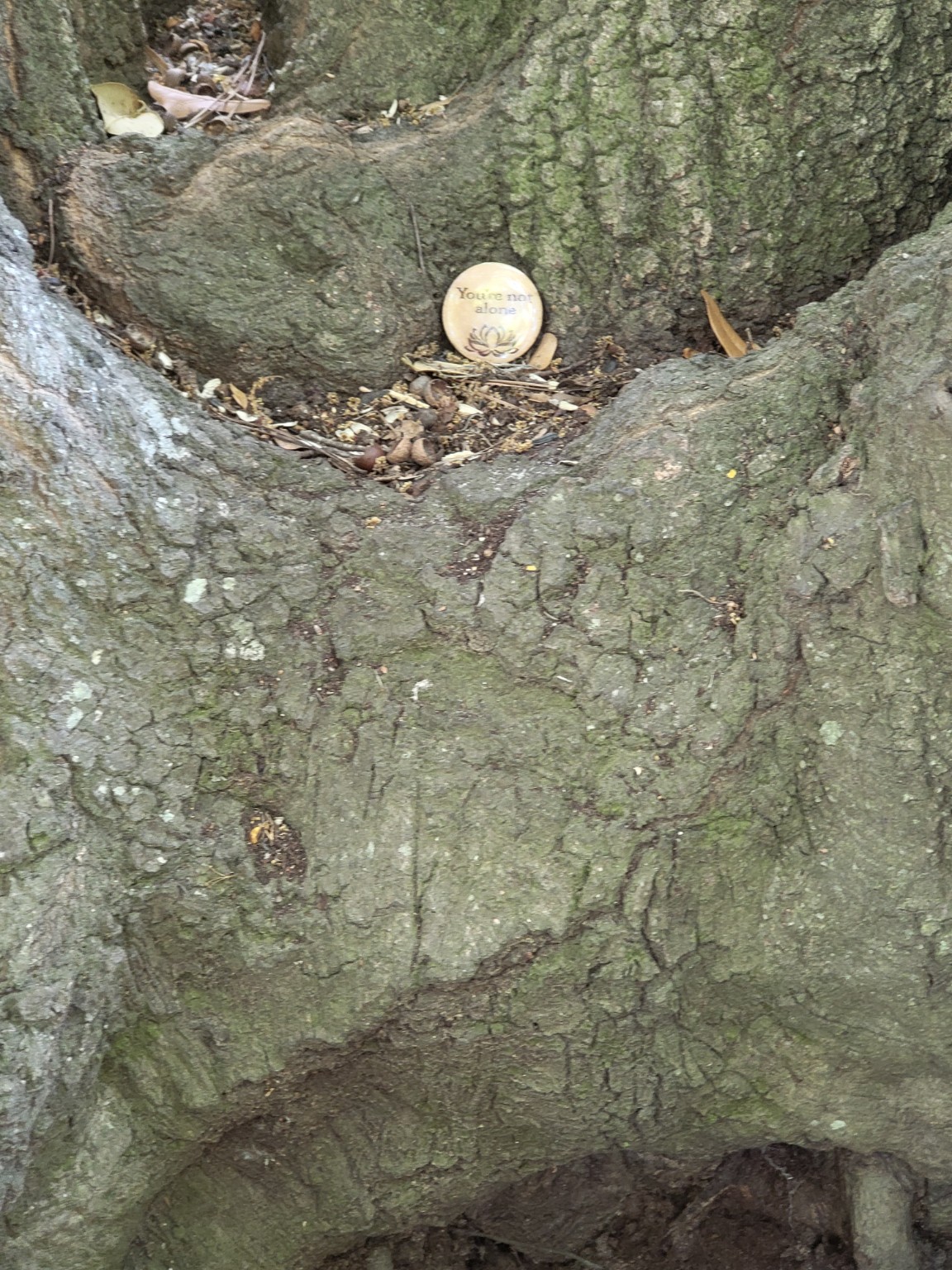 A heartwork token nestled among the roots of a tree